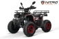Preview: NITRO MOTORS 200cc maxi Kinder Quad Reptile RS10-CVT Platin 10 Zoll Bereifung