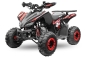Preview: Quad 125ccm Nitro Rizzo 7 Zoll Platin Line Automatik mit Returgang oder 3 Gang Semiatomatik mit Returgang