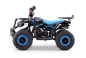 Preview: Kinderquad Mini-ATV 50 ccm Explorer