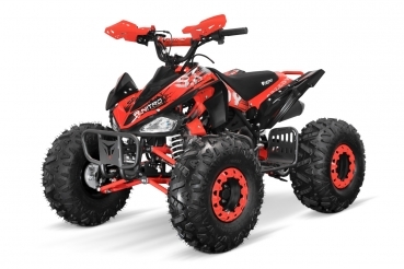 Preview: Quad 125ccm Nitro Speedy  S8 Sport Automatik mit Rg