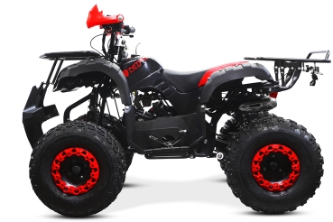 Preview: NITRO MOTORS 125cc midi Kinder Quad Toronto 3G8 Sport