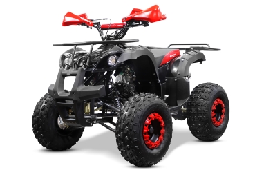 NITRO MOTORS 125cc midi Kinder Quad Toronto 3G8 Sport