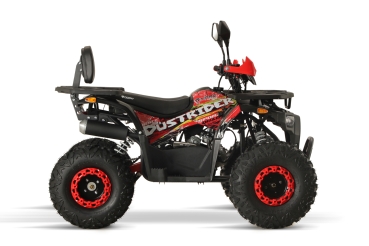 Preview: NITRO MOTORS 125cc midi Kinder Quad Dustrider RS8-A Sport