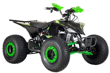 Elektro Quad eRaptor 60V 1500W Deluxe 8 Zoll