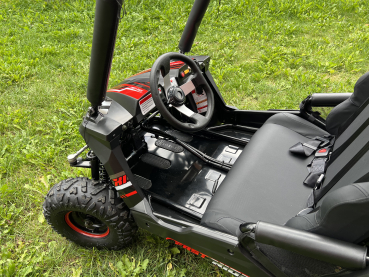 Preview: Buggy Ceetah Mini 163 ccm OHC 4 Takt Motor 2 Sitzer