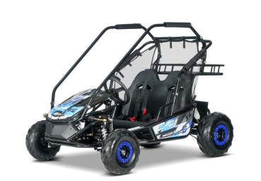 Preview: E-Buggy RSX-XL 2000 Watt 60 Volt 2 Sitzer
