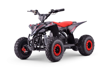 Kinder E-Quad  T-REX 1300 Watt 48 Volt 12Ah