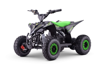 Preview: Kinder E-Quad  T-REX 1300 Watt 48 Volt 12Ah