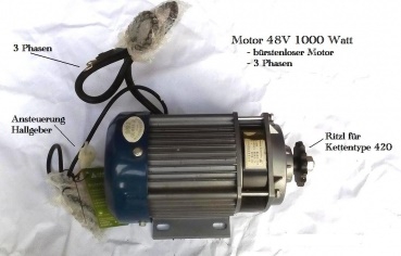 Elektromotor 1000 watt 48 Volt Bürstenlos